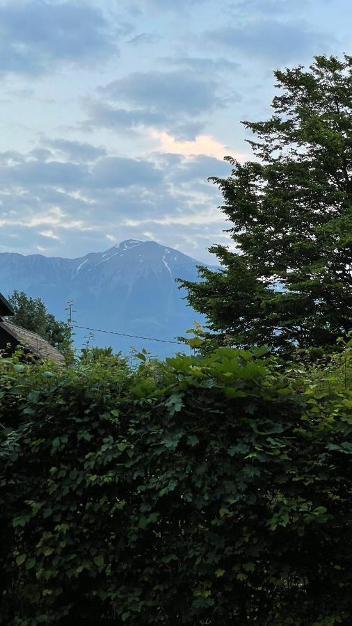 Villa Mika'S Garden Bled Exterior foto